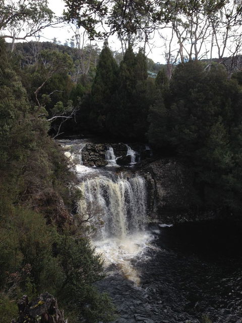Cradle Mountain National Park Day Tour From Launceston - Accommodation in Surfers Paradise 5