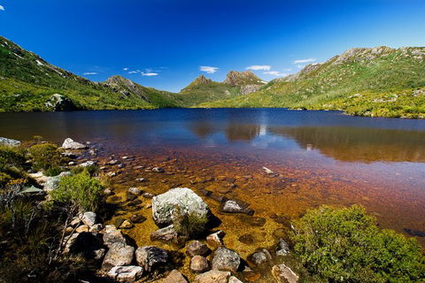 Cradle Mountain National Park Day Tour From Launceston - Accommodation in Surfers Paradise 22