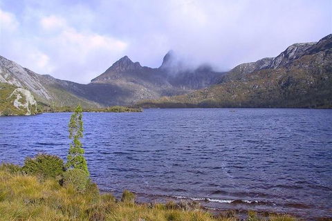 Cradle Mountain National Park Day Tour From Launceston - Accommodation in Surfers Paradise 21