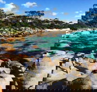 4-Day Tasmania East Coast Adventure from Launceston to Hobart Including Bay of Fires Wineglass Bay Bruny Island and Port Arthu - Accommodation in Surfers Paradise