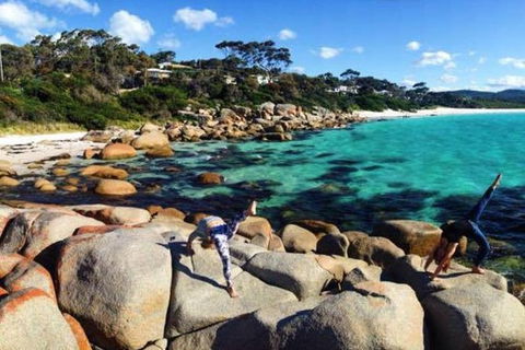 4-Day Tasmania East Coast Adventure From Launceston To Hobart Including Bay Of Fires, Wineglass Bay, Bruny Island And Port Arthu - Accommodation in Surfers Paradise 0