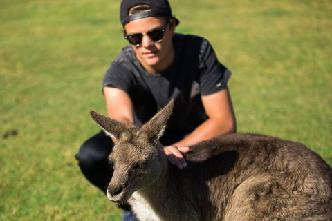 4-Day Tasmania East Coast Adventure From Launceston To Hobart Including Bay Of Fires, Wineglass Bay, Bruny Island And Port Arthu - Accommodation in Surfers Paradise 6