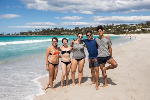 4-Day Tasmania East Coast Adventure From Launceston To Hobart Including Bay Of Fires, Wineglass Bay, Bruny Island And Port Arthu - Accommodation in Surfers Paradise 5