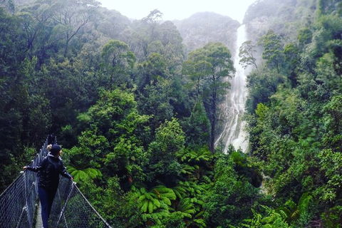 3 Day Tasmanian Wild West Coast Tour From Hobart To Launceston - Accommodation in Surfers Paradise 4