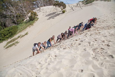 3 Day Tasmanian Wild West Coast Tour From Hobart To Launceston - Accommodation in Surfers Paradise 8
