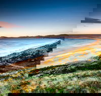 Full-Day Guided Bruny Island Tour from Hobart - Accommodation in Surfers Paradise