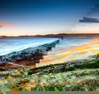 2 Day - Two of Tasmania's Best Tour - Accommodation in Surfers Paradise
