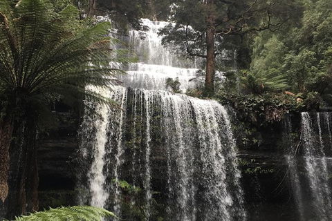 Wilderness And Wildlife - Accommodation in Surfers Paradise 1