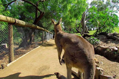 Wilderness And Wildlife - Accommodation in Surfers Paradise 0