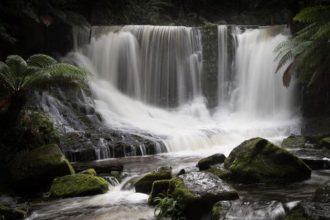 Mt Field National Park Premium Private Photo-oriented Day Tour From Hobart - Accommodation in Surfers Paradise 0