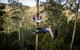 Hollybank Wilderness Adventure - Zipline Tours - thumb 1