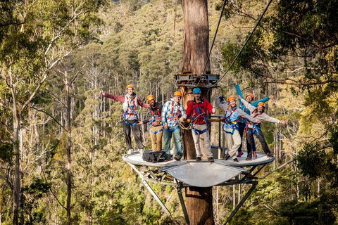 Hollybank Wilderness Adventure - Zipline Tours - Accommodation in Surfers Paradise 0