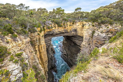 Port Arthur Historic Site And Nature - Accommodation in Surfers Paradise 1