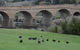 Bonorong Wildlife Park And Richmond Afternoon Tour From Hobart - thumb 3