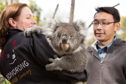 Bonorong Wildlife Park And Richmond Afternoon Tour From Hobart - Accommodation in Surfers Paradise 7