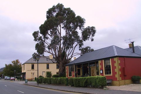 Bonorong Wildlife Park And Richmond Afternoon Tour From Hobart - Accommodation in Surfers Paradise 8