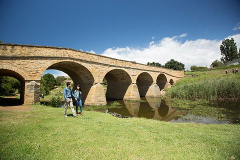 Bonorong Wildlife Park And Richmond Afternoon Tour From Hobart - Accommodation in Surfers Paradise 5