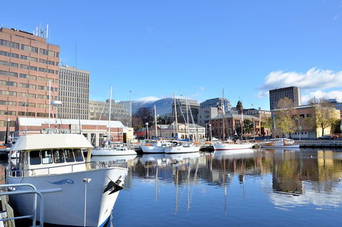 Hobart Shore Excursion: Scenic Highlights Tour - Accommodation in Surfers Paradise 6