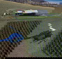 Bangor Vineyard Shed Helicopter Tour - Accommodation in Surfers Paradise