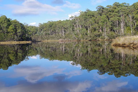 Leven River Picnic Cruise From Ulverstone - Accommodation in Surfers Paradise 1