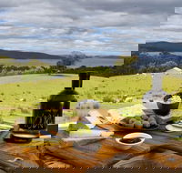 Private Channel and Huon Valley Food Trip - From Hobart - Accommodation in Surfers Paradise