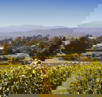 Josef Chromy Wines Winery Tour Including Tasting and Lunch - Accommodation in Surfers Paradise