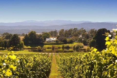 Josef Chromy Wines Winery Tour Including Tasting And Lunch - Accommodation in Surfers Paradise 0