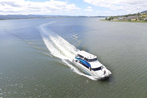 Batman Bridge 4 Hour Luncheon Cruise Including Sailing Into The Cataract Gorge - Accommodation in Surfers Paradise 1