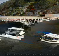Batman Bridge 4 Hour Luncheon Cruise including sailing into the Cataract Gorge - Accommodation in Surfers Paradise