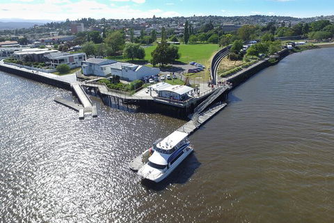Batman Bridge 4 Hour Luncheon Cruise Including Sailing Into The Cataract Gorge - Accommodation in Surfers Paradise 8
