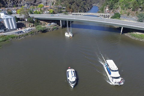 Batman Bridge 4 Hour Luncheon Cruise Including Sailing Into The Cataract Gorge - Accommodation in Surfers Paradise 4