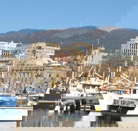 Private Mt Wellington Richmond Bonorong Wildlife Sanctuary Tour from Hobart - Accommodation in Surfers Paradise
