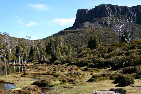 The Walls Of Jerusalem Supported Trekking Tour - Accommodation in Surfers Paradise 8