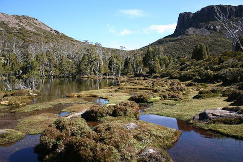 The Walls Of Jerusalem Supported Trekking Tour - Accommodation in Surfers Paradise 6