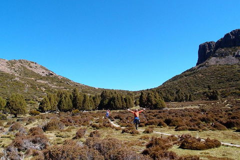 The Walls Of Jerusalem Supported Trekking Tour - Accommodation in Surfers Paradise 3