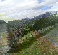 Coal River Valley  Hobart food  wine grazing tour - Accommodation in Surfers Paradise