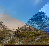 Hartz Peak Hiking Tour - Hartz Mountains National Park - Accommodation in Surfers Paradise