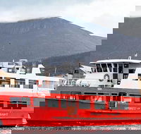Mt Wellington and Harbour Cruise combo - Accommodation in Surfers Paradise