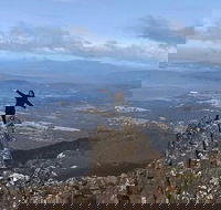 Mt Wellington ONE WAY WALKERS Tour great option for bushwalkers - Accommodation in Surfers Paradise