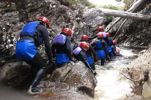 Half Day Cradle Mountain Canyoning: Lost World Canyon - Accommodation in Surfers Paradise 1