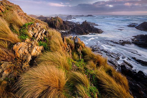 4-Day Tarkine Wilderness Photography Workshop - Accommodation in Surfers Paradise 0