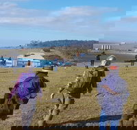 4-Day Hobart Adventure Tour Maria Island Cape Raoul Mount Field Cape Hauy - Accommodation in Surfers Paradise