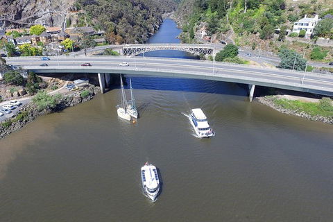 2.50 Hour Afternoon Discovery Cruise Including Cataract Gorge Departing At 3 Pm - Accommodation in Surfers Paradise 5