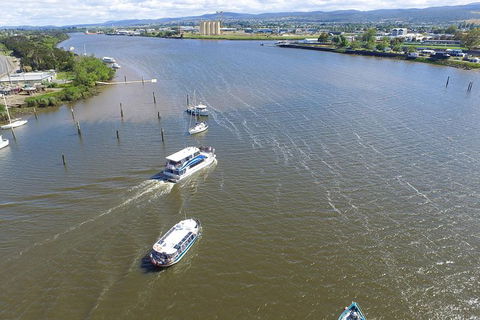 Cataract Gorge Cruise 11:30 Am - Accommodation in Surfers Paradise 1