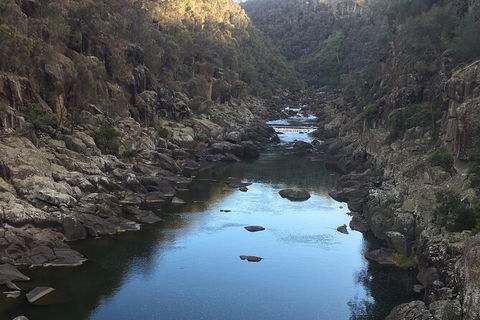 Launceston Cataract Gorge - Twilight, Wildlife, Local History Walking Tour. - Accommodation in Surfers Paradise 2