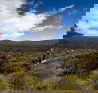 6-Day Overland Track PhotoTour - Accommodation in Surfers Paradise