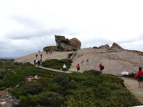 Kangaroo Island In A Day Tour From Adelaide - Accommodation in Surfers Paradise 21