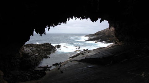 Kangaroo Island In A Day Tour From Adelaide - Accommodation in Surfers Paradise 20