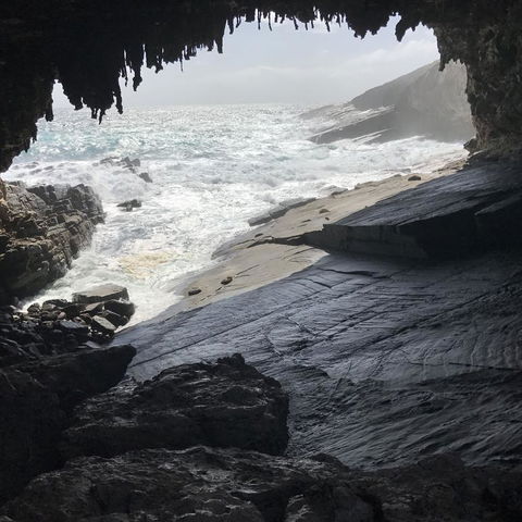 Kangaroo Island In A Day Tour From Adelaide - Accommodation in Surfers Paradise 5