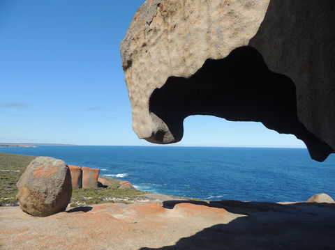 Kangaroo Island In A Day Tour From Adelaide - Accommodation in Surfers Paradise 13